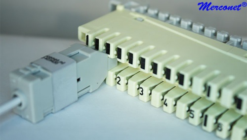 anj5-breakout-lsa